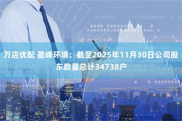 万店优配 盈峰环境：截至2025年11月30日公司股东数量总计34738户
