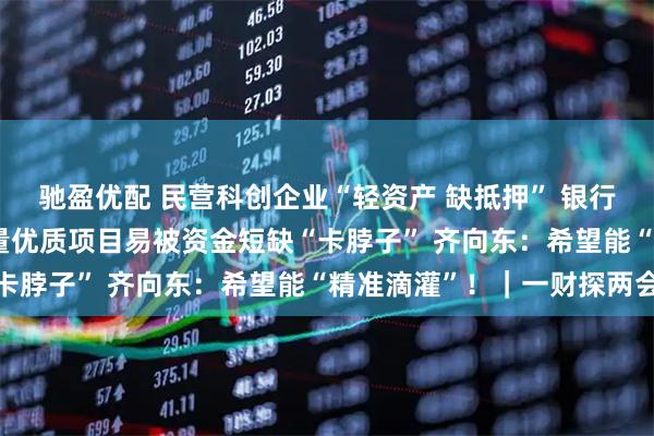 驰盈优配 民营科创企业“轻资产 缺抵押” 银行“不敢贷 不愿贷” 大量优质项目易被资金短缺“卡脖子” 齐向东：希望能“精准滴灌”！｜一财探两会